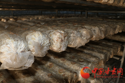 【強信心 看發展】天祝:特色產業助推鄉村振興"加速跑"