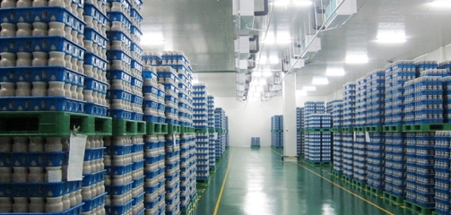 【麗水山耕&middot;蓮寶】百興菇業 魔幻真菌王國