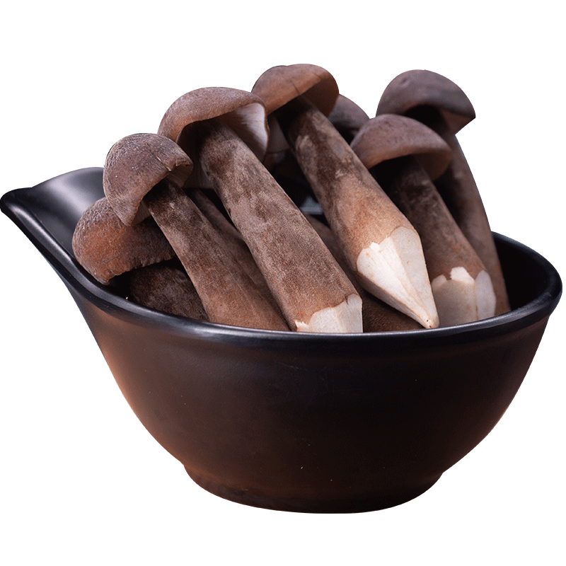 產地直銷云南特產黑皮雞樅菌新鮮雞樅菌農產品食用菌煲湯食材_菇云網