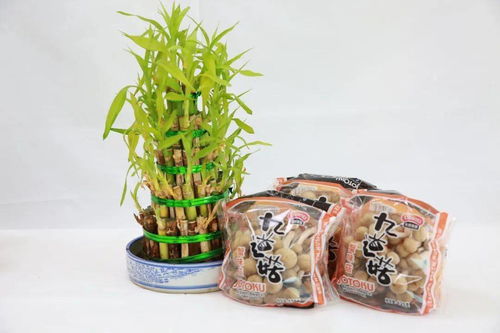 冬天與火鍋最配哦