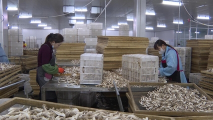 甘州企業蓄勢待發 沖刺一季度&ldquo;開門紅&rdquo;