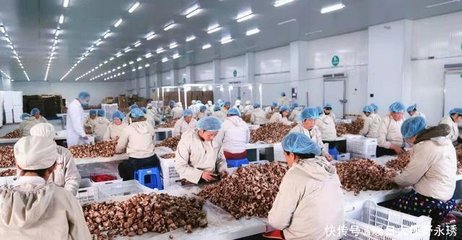 泌陽食用菌產業在品牌培育上發力 在研發創新中升級