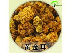 云南野生金耳菌 天然珍品，特價批發