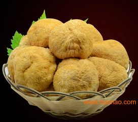 綠色食品猴頭菇 食用價值、食用方法、生產廠家與價格全解析