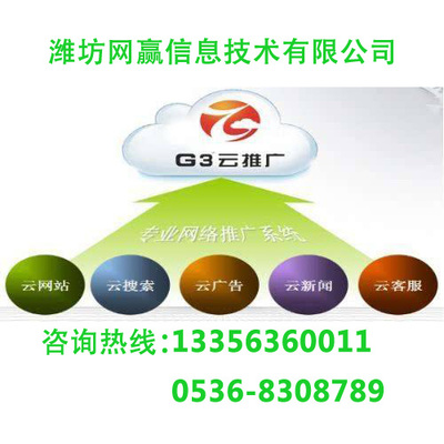 棗莊G3云推廣 按需定制技術方案，成效顯著